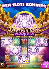 Programa VIP 45x